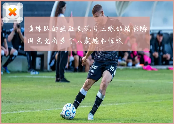 黄蜂队的疯狂表现与三球的精彩瞬间究竟有多令人震撼和惊叹