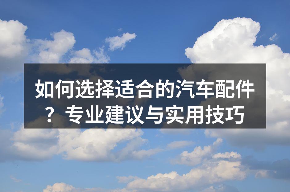 专业汽车配件展示